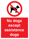 no-dogs-except-assistance-dogs~
